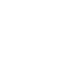 靜態輸入輸出Static I/O